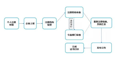 建造师注册管理迈入数字化新篇章 个人与企业双轨并行，信息系统集成服务全面升级